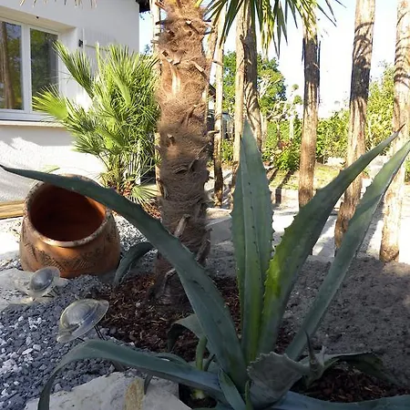 Alojamento de Acomodação e Pequeno-almoço Mogador Piscine Et Balneo Andernos-les-Bains